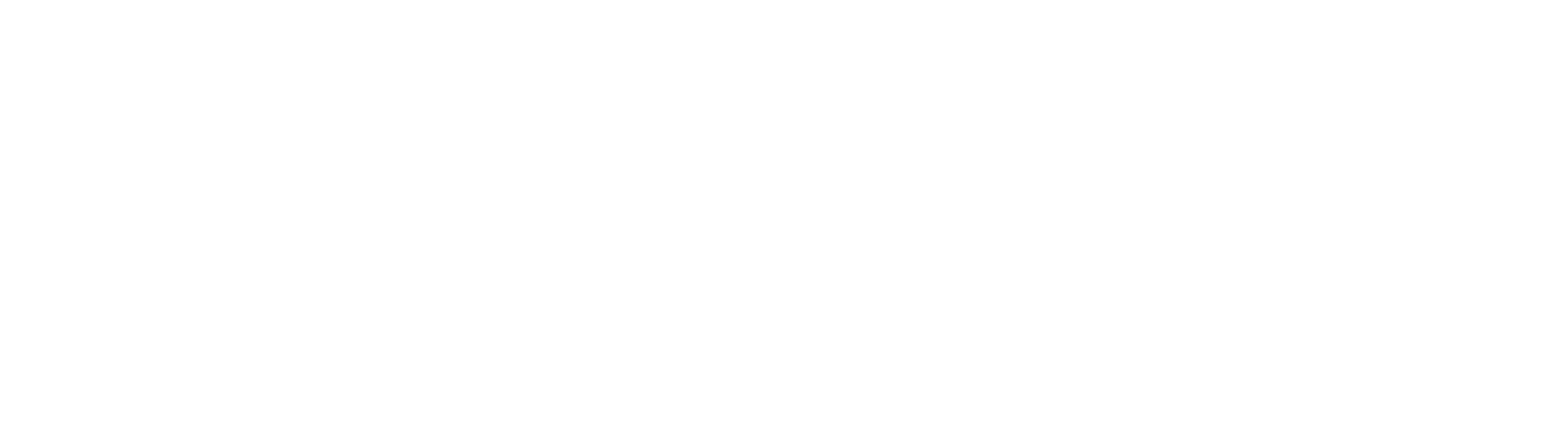 logo_netcontact_blanc
