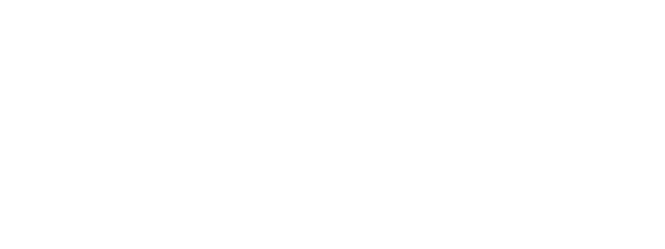logo_netfactu_blanc